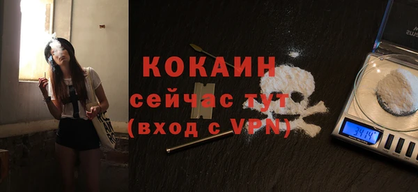 твердый Новодвинск