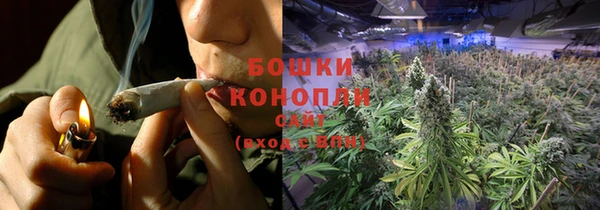 PSILOCYBIN Аркадак
