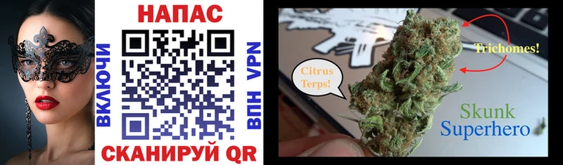 Каннабис SATIVA & INDICA  закладки  Светлый 